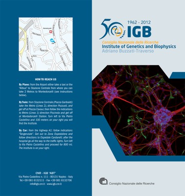 IGB Brochure Cover IGB Brochure Cover