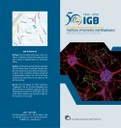 IGB Brochure Cover